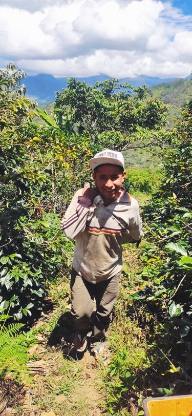 Peru - Frutos del Corcovado